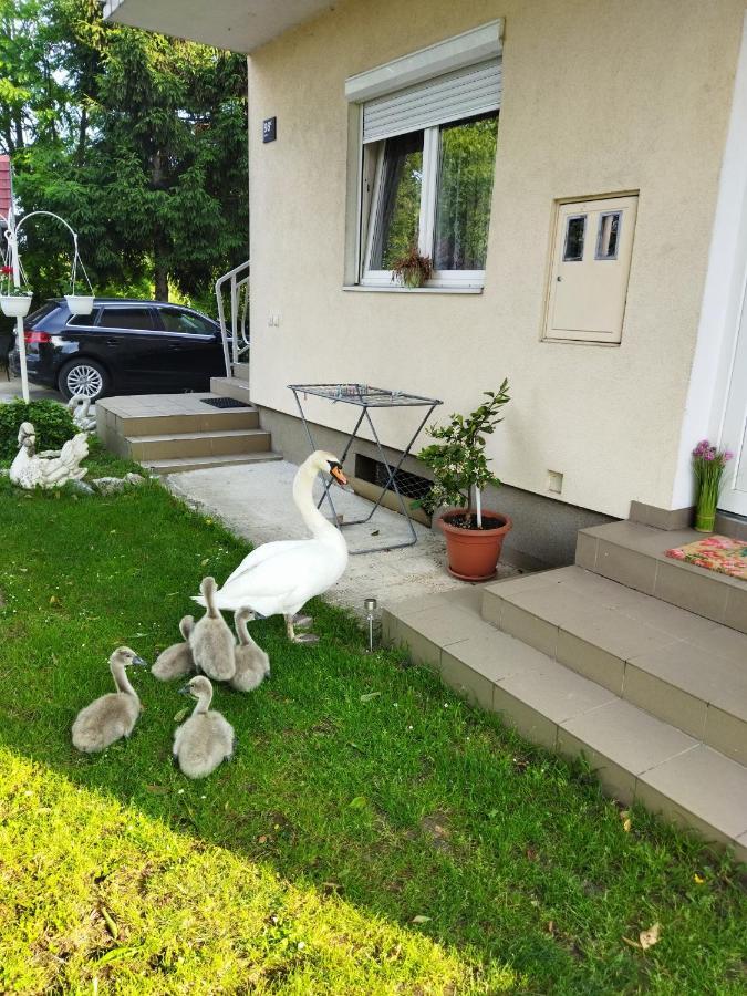 Apartman Na Jezeru Zagreb Ngoại thất bức ảnh